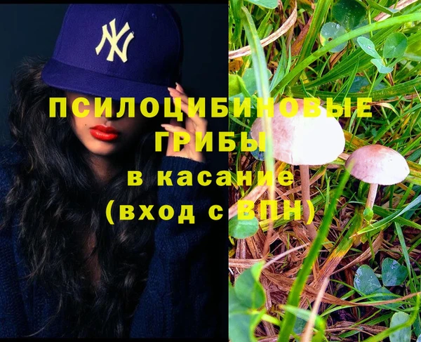 spice Белоозёрский